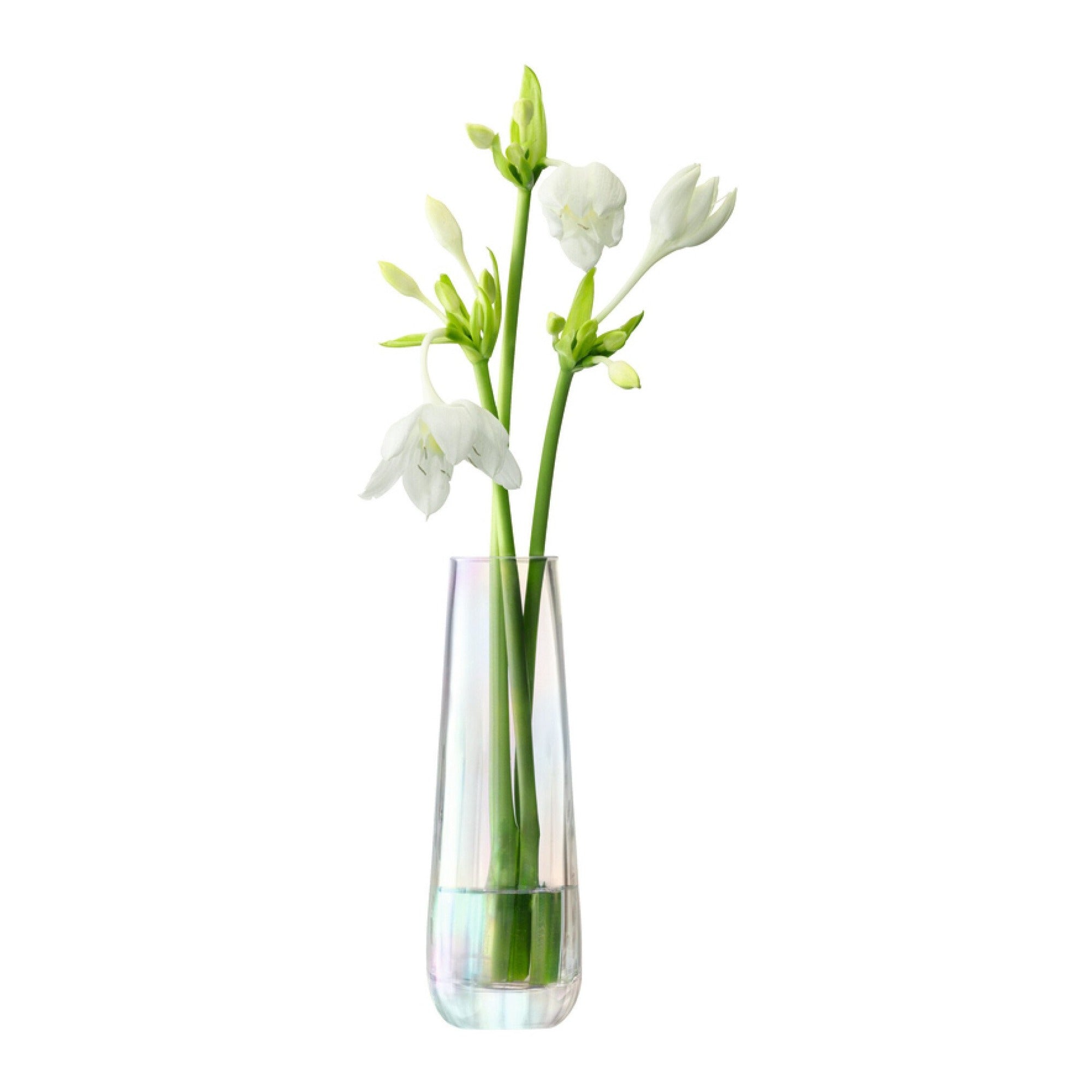 Tall Vase | Mother of Pearl | 20cm